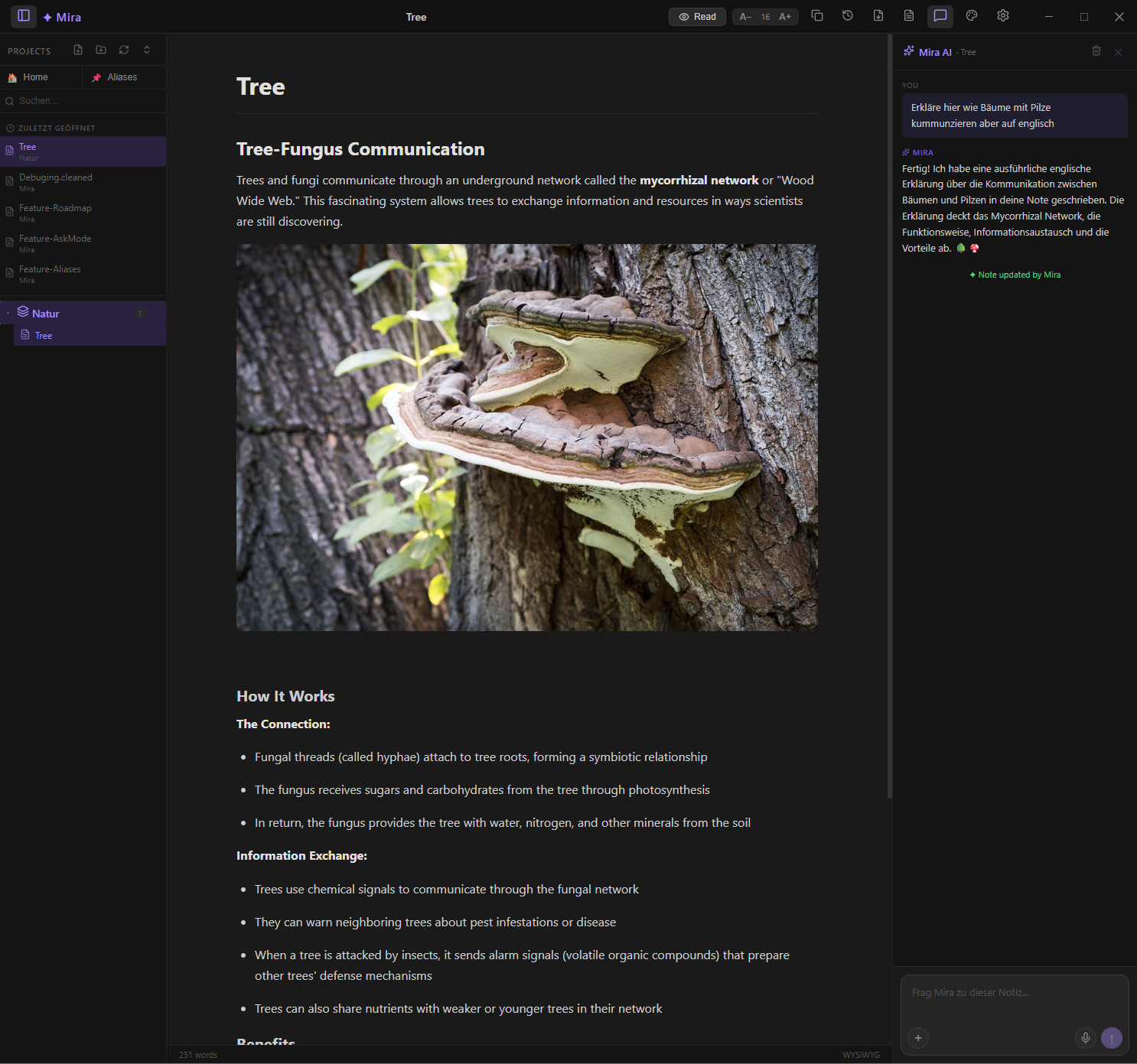 Mira app — 3-panel layout with AI chat